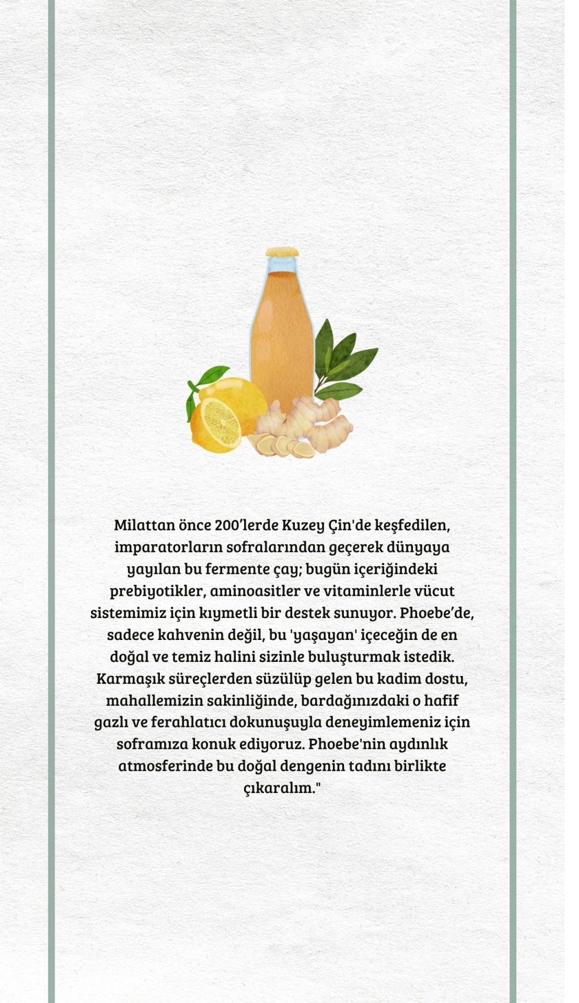 Kombucha